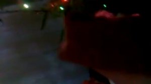 Гомо-Эректус