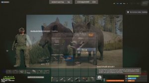 МЯСО ПРОПАЛО...  RUST | РАСТ | SHOCK RUST 266 DEVBLOG | RUST DEVBLOG |