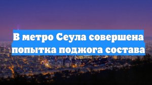В метро Сеула совершена попытка поджога состава