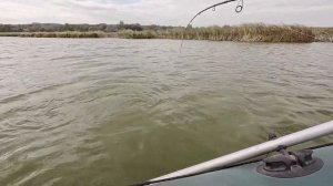 ✅️📣🔥ВОБЛЕР ЗВІРЮГА🔥📣✅️ KANATA160 BEARKING👍👍👍