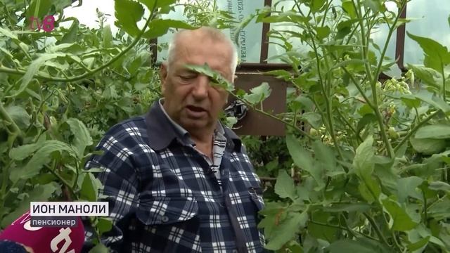 Удар стихии смотреть онлайн