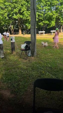 В каких ситуациях лает ваша собака?