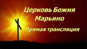 Семейная конференция. Прямая трансляция