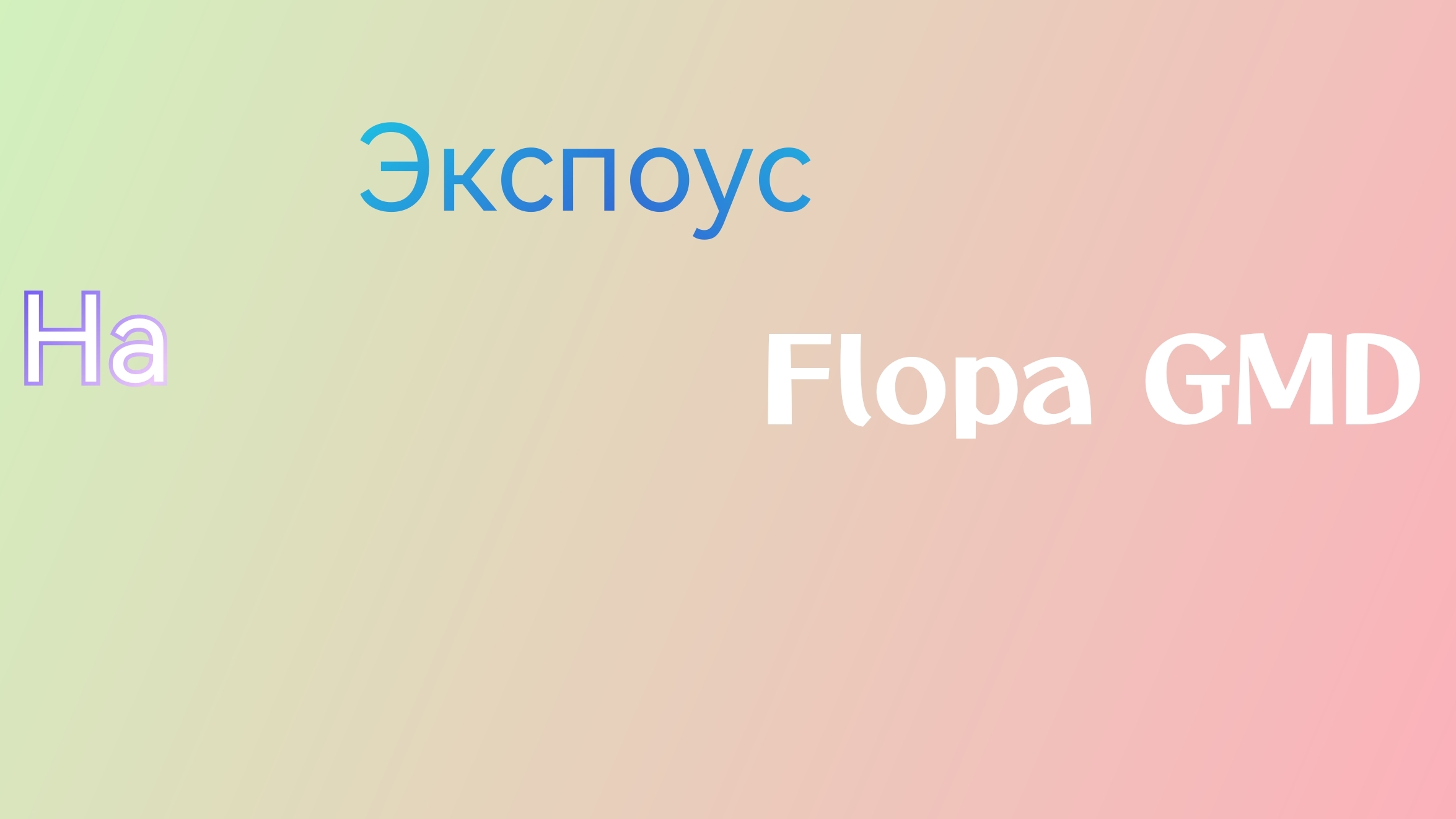 Экспоус на Flopa GMD или как Flopa GMD вскопал себе могилу