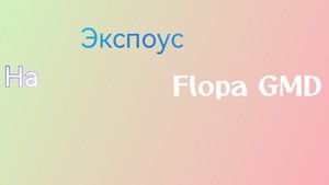 Экспоус на Flopa GMD или как Flopa GMD вскопал себе могилу