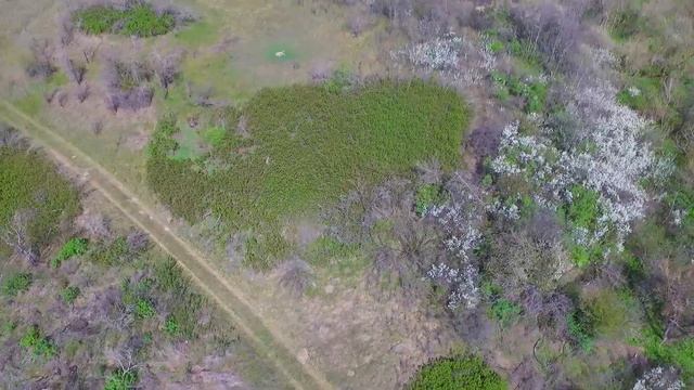 Маєток великого поміщика-дворянина Семена Погожого смотреть онлайн