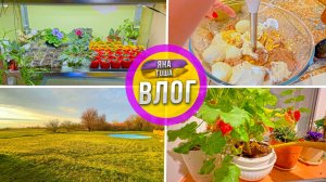 Волшебный стеллаж! Что Яна выращивает? Печеночный паштет. Как бороться с травой?