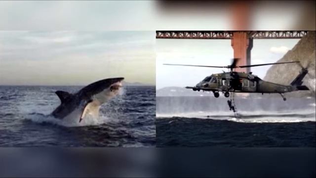 БУ РОСТМИ ёки ЁЛГОН! БИЛИБ ОЛИНГ! смотреть онлайн