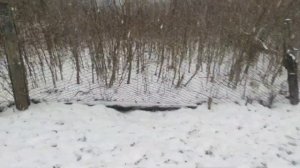 Простой электропастух своими руками