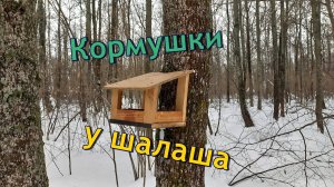 Поставил кормушки для птиц у шалаша. Зимние зарисовки. Поход в одиноком лесу