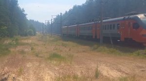 ДЫМ В ПРИГОРОДЕ: дым от пожара в Воронежском заповеднике им. Пескова заполонил улицы ж/д станции.