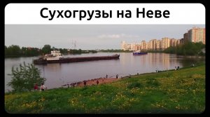 Сухогрузы на Неве, Петербург. 27 мая 2025.