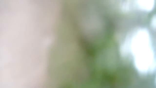 помидор - убийца смотреть онлайн