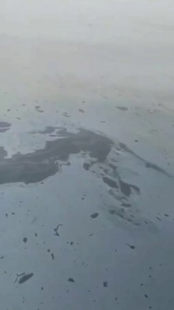 Это не просто пятно – это угроза для уникальной природы Приморья. Что происходит у мыса Четырех скал