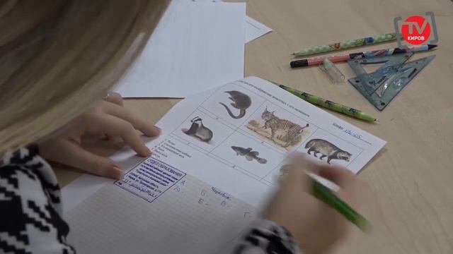 Новостной выпуск "Телепрограммы "Киров-ТВ" от 17.12.24