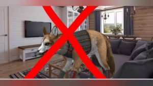 клип в wild craft  пьяную домой