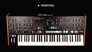 Moog Muse: Cool and Fun Ideas, Raw and Gritty Sounds