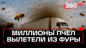 250 млн пчел вырвались на свободу из фуры после ДТП в США