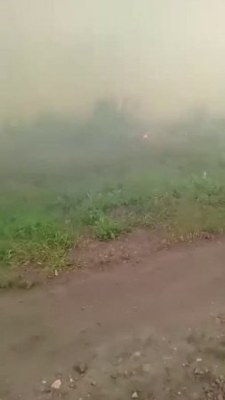 ПОЖАР НА ГРАНИЦЕ ОБЛАСТЕЙ: горит заповедник в районе деревни Шарашки на границе Воронежской области.