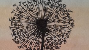 Рисуем одуванчик на закате легко, просто