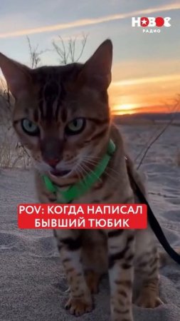 Девочки, у кого было? #shorts