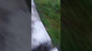 Гравити Фолз 2 серия 1 сезон приключения диппера
