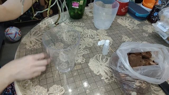 Омоложение моей первой орхидеи. смотреть онлайн