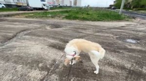 ТАТУ НА СИСЬКАХ ! сочный контент и очпочмаки 🥰