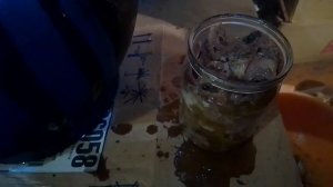 закрываю тушёнку из дикой утки и свинины.да уж.здравст