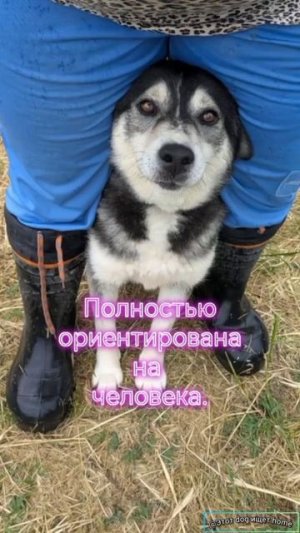 Ищет родителей