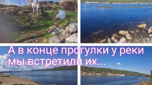 Эта красота севера завораживает/прогулка с друзьями к реке