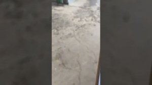 Если вы в первый день в такси в Москве, что нужно предпринять, чтобы не попасть на штраф 5000₽.