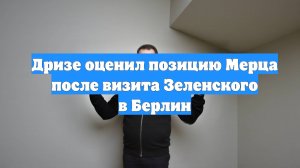 Дризе оценил позицию Мерца после визита Зеленского в Берлин