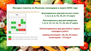 Посадка томатов по Лунному календарю весной 2025 года