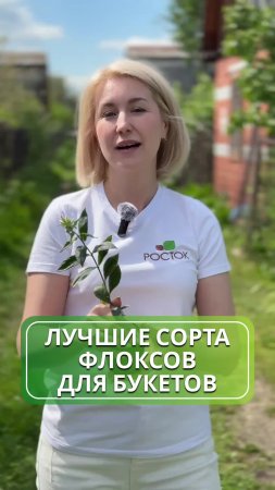 🌸✨ Лучшие флоксы для букетов ✨🌸