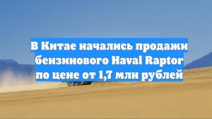 В Китае начались продажи бензинового Haval Raptor по цене от 1,7 млн рублей