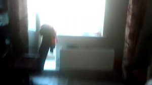 Фильм "конец света"