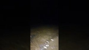 Рыбалка на Камчатке