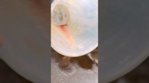 PASSAT B6 Фольксваген ПАССАТ Б6 промывка системы охлажден?