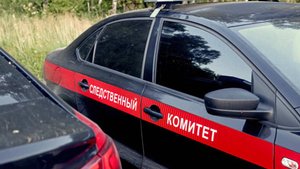 Четверо студентов из Марокко забили до смерти мужчину на Ставрополье