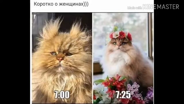 Доброе утро!!! смотреть онлайн