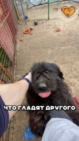 Семь лет ожидания. Когда же придете Вы? | Бум
