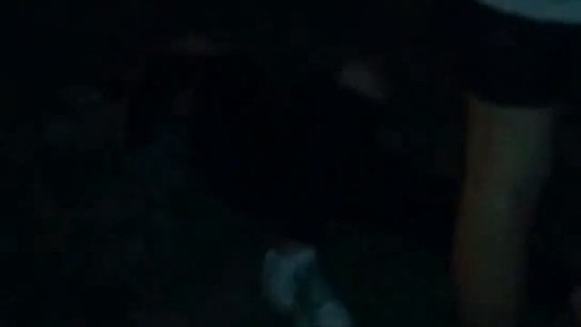 Сериал/Таёжная Любовь/1серия смотреть онлайн