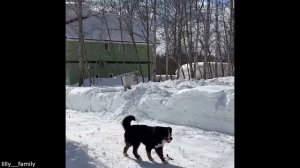 They Were Absolutely Traumatized