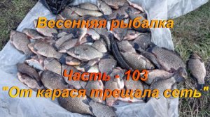 Весенняя рыбалка. Часть - 103. "От карася трещала сеть".