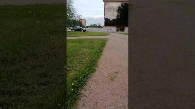 Проуглка  по проспекту Ветеранов