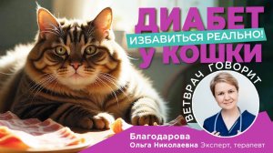 Ветеринарный врач рассказывает: Ремиссия сахарного диабета