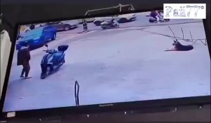 Неумелый мотоциклист чуть не придавил собаку, наблюдающую за ним