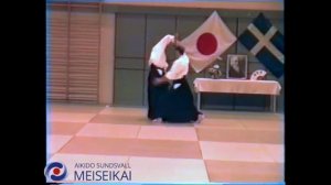 35 Aikido Ken No Tebiki Ai Hanmi Iriminage Nishio Sensei Uppsala 1995