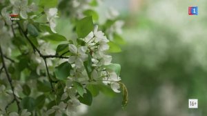 Лето на пороге, и сердце замирает в предвкушении: солнце, море, пляж!